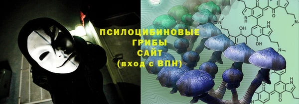 гашик Надым