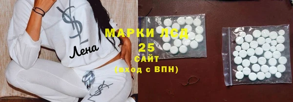 гашик Надым