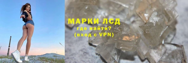 гашик Надым