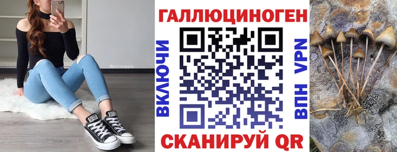 как найти наркотики  Удомля  Псилоцибиновые грибы Psilocybine cubensis 