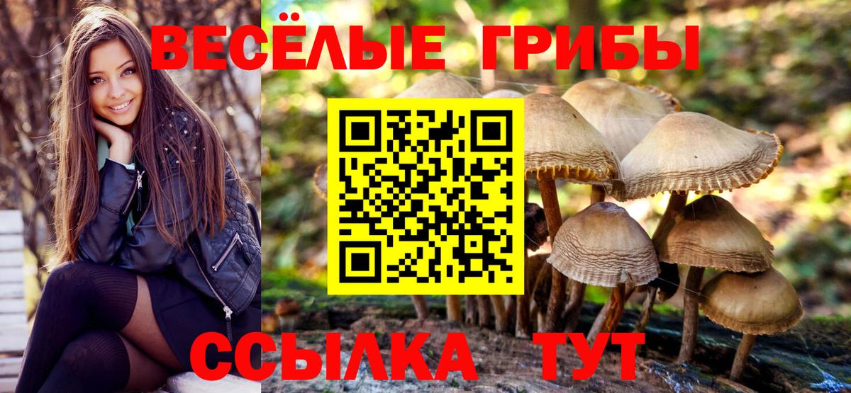 Псилоцибиновые грибы Psilocybe  даркнет сайт  Удомля  Вход с VPN 